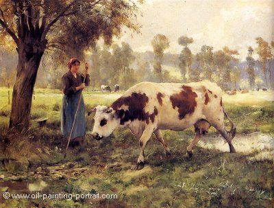 Cows at Pasture