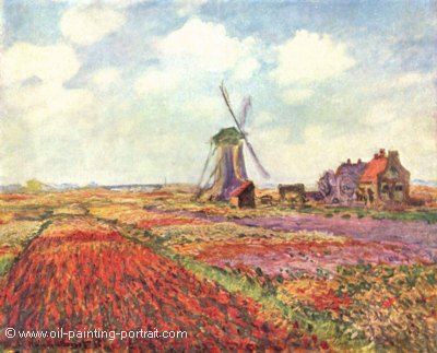Tulip Fields in Holland