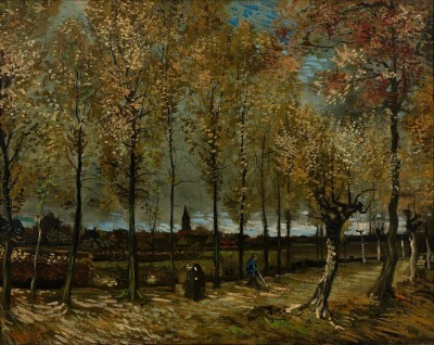 Lane with Poplars