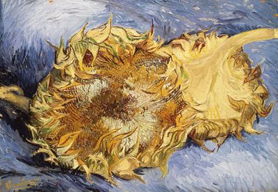 Sunflowers 2