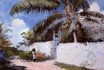 Winslow Homer - Bilder Gemälde - A Garden in Nassau