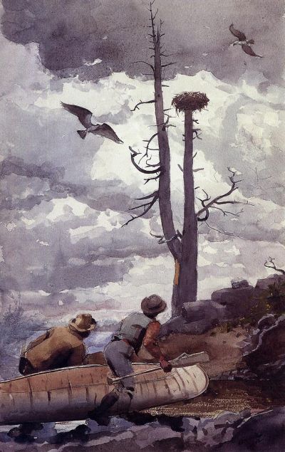 Ospreys Nest