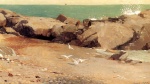 Winslow Homer  - Peintures - Côte Rocheuse et mouettes