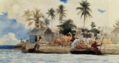 Sponge Fishing  Nassau