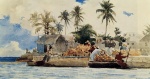 Winslow Homer  - Peintures - Pêche des éponges, Nassau