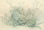 Adrian Ludwig Richter  - Peintures - Herbes sauvages