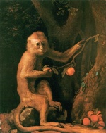 George Stubbs - paintings - Grüne Meerkatze