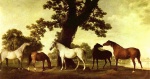 George Stubbs - paintings - Pferde in einer Landschaft