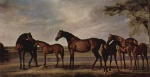George Stubbs  - Bilder Gemälde - Stuten und Fohlen ängstigen sich vor einem heraufziehenden Unwetter