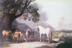 George Stubbs  - paintings - Stuten und Fohlen in bergiger Landschaft