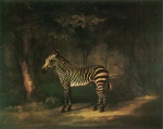 George Stubbs  - paintings - Zebra