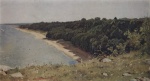 Ivan Ivanovich Shishkin - paintings - An der Meeresküste