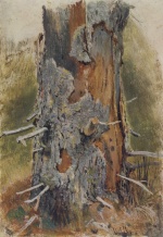 Ivan Ivanovitch Chichkine - Peintures - L'écorce d'un vieux tronc d'arbre
