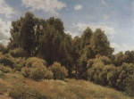 Ivan Ivanovich Shishkin - paintings - Die Waldwiese