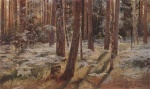 Ivan Ivanovich Shishkin - paintings - Farn im Wald (Siwerskaja)
