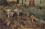 Ivan Ivanovitch Chichkine - Peintures - Amanites tue-mouches