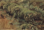 Ivan Ivanovitch Chichkine  - Peintures - Souche d´arbre couverte de mousse