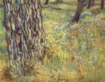 Vincent Willem van Gogh - Peintures - Troncs d´arbres