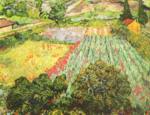 Vincent Willem van Gogh - paintings - Das Mohnblumenfeld