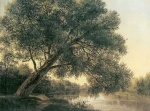 Ferdinand Georg Waldmueller - Peintures - Arbre au bord d´un ruisseau