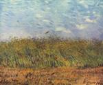 Vincent Willem van Gogh  - paintings - Getreidefeld mit Mohnblumen und Lerche