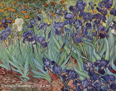Irises