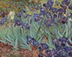 Vincent Willem van Gogh  - Peintures - Nature morte avec iris
