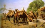 Bild:Kamele an einer Quelle