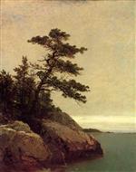John Frederick Kensett  - Bilder Gemälde - The Old Pine, Darien, Connecticut