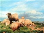 Thomas Sidney Cooper  - Bilder Gemälde - Landscape with Sheep