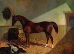 John Frederick Herring - Bilder Gemälde - Brown Horse in a Stable