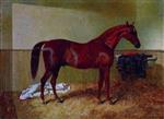 John Frederick Herring - Bilder Gemälde - Chestnut Horse in a Stable