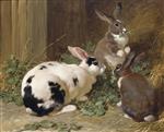 John Frederick Herring  - Bilder Gemälde - Rabbits feeding