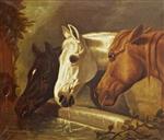 Bild:Three Horses at a Drinking Trough