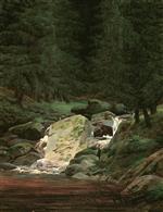 Bild:Tannenwald mit Wasserfall