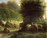 Bild:Sheep grazing along a hedgerow