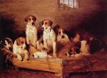 John Emms - Peintures - Foxhounds et Terriers dans un chenil