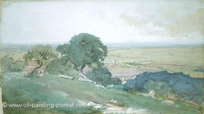 Olive Trees at Campagna