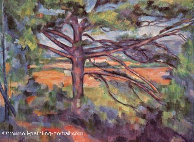 Pine Tree next Aix