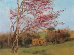 John William Godward  - paintings - Landscape, Blossoming Red Almond (study)