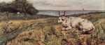 Giovanni Fattori - paintings - Liegende Kuh