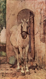 Bild:Weißes Pferd vor einer Tür