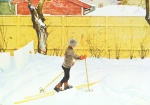 Carl Larsson  - paintings - Der Hof in Falun (Esbjoern auf Skiern)