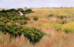William Merritt Chase  - Peintures - Paysage près de Coney Island