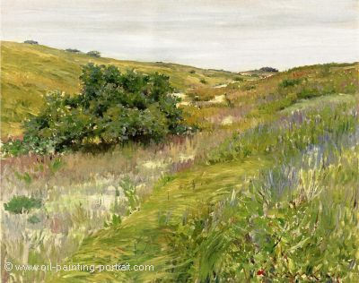 Shinnecock Hills (Landscape)