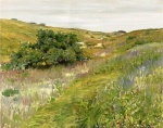 William Merritt Chase  - Peintures - Collines de Shinnecock (Paysage)