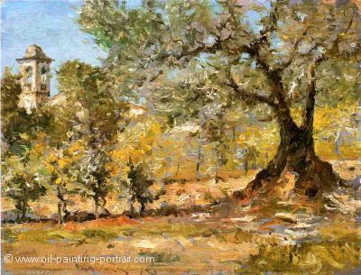 Olive Trees in Florence