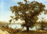 Albert Bierstadt - Bilder Gemälde - A View from Sacramento
