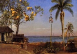 Albert Bierstadt - Peintures - Une vue dans les Bahamas