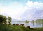 Albert Bierstadt - Bilder Gemälde - Buffalo Country